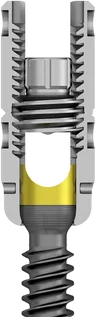 Sectioned view of the screw head locking mechanism seating a rod